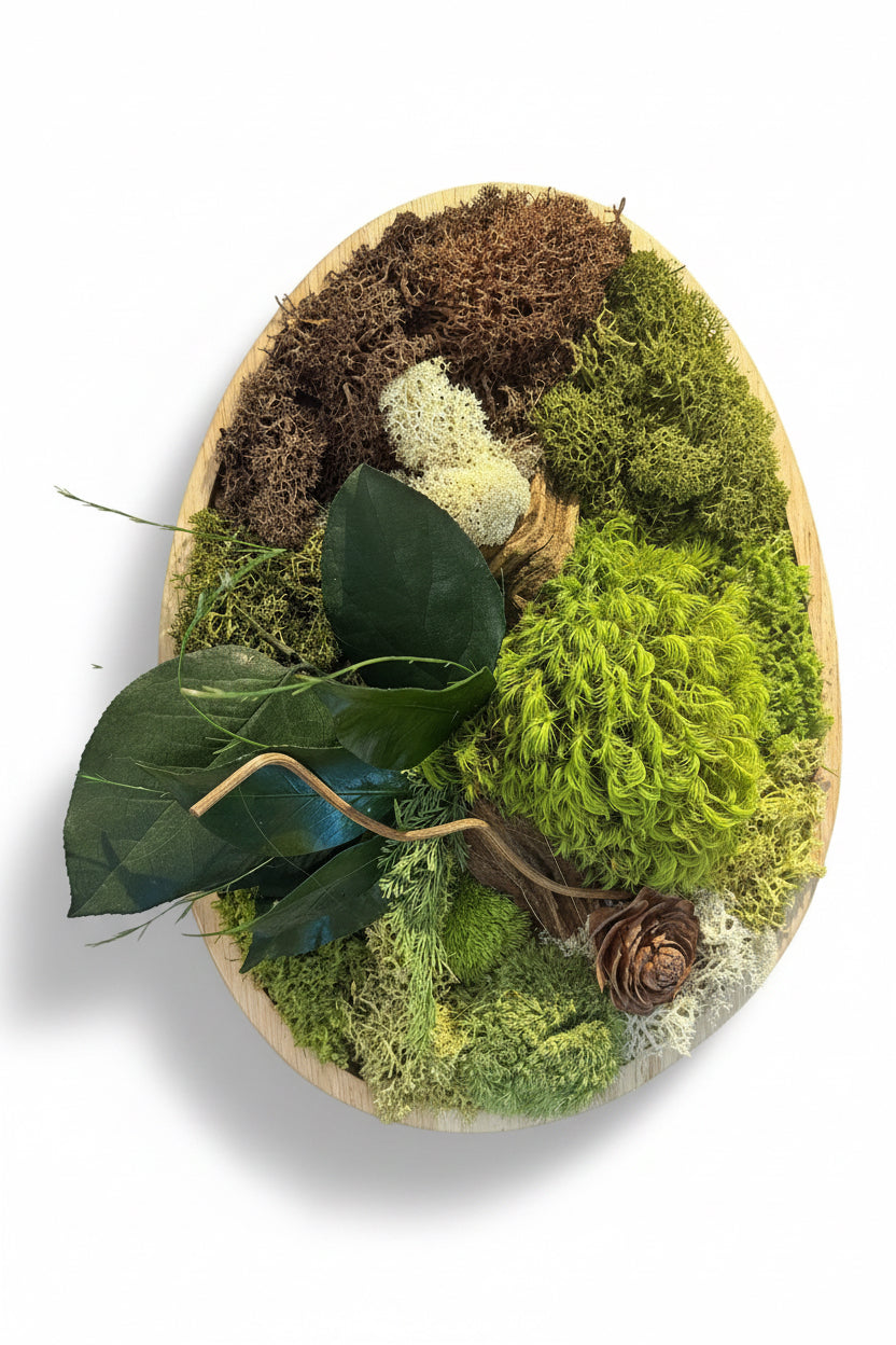 Cadre végétal stabilisé ovale – Décoration murale naturelle artisanale