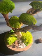 Bonsaï stabilisé 50 cm – Sculpture zen en bois flotté | Naturencadre