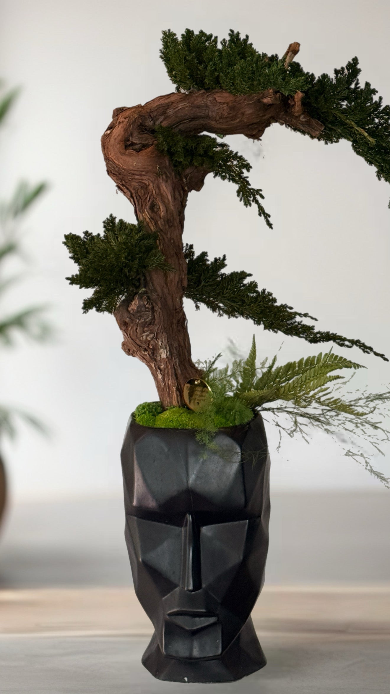 Bonsaï Stabilisé Sans Entretien – Pot Visage Abstrait Noir | Sculpture Végétale Zen