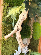 Grand cadre végétal mural– Caisse américaine – Œuvre végétale verticale 100 cm – Décoration murale nature chic