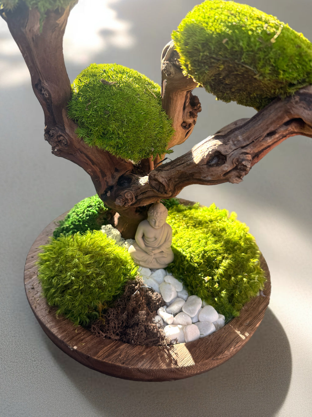 Bonsaï stabilisé 50 cm – Sculpture zen en bois flotté | Naturencadre