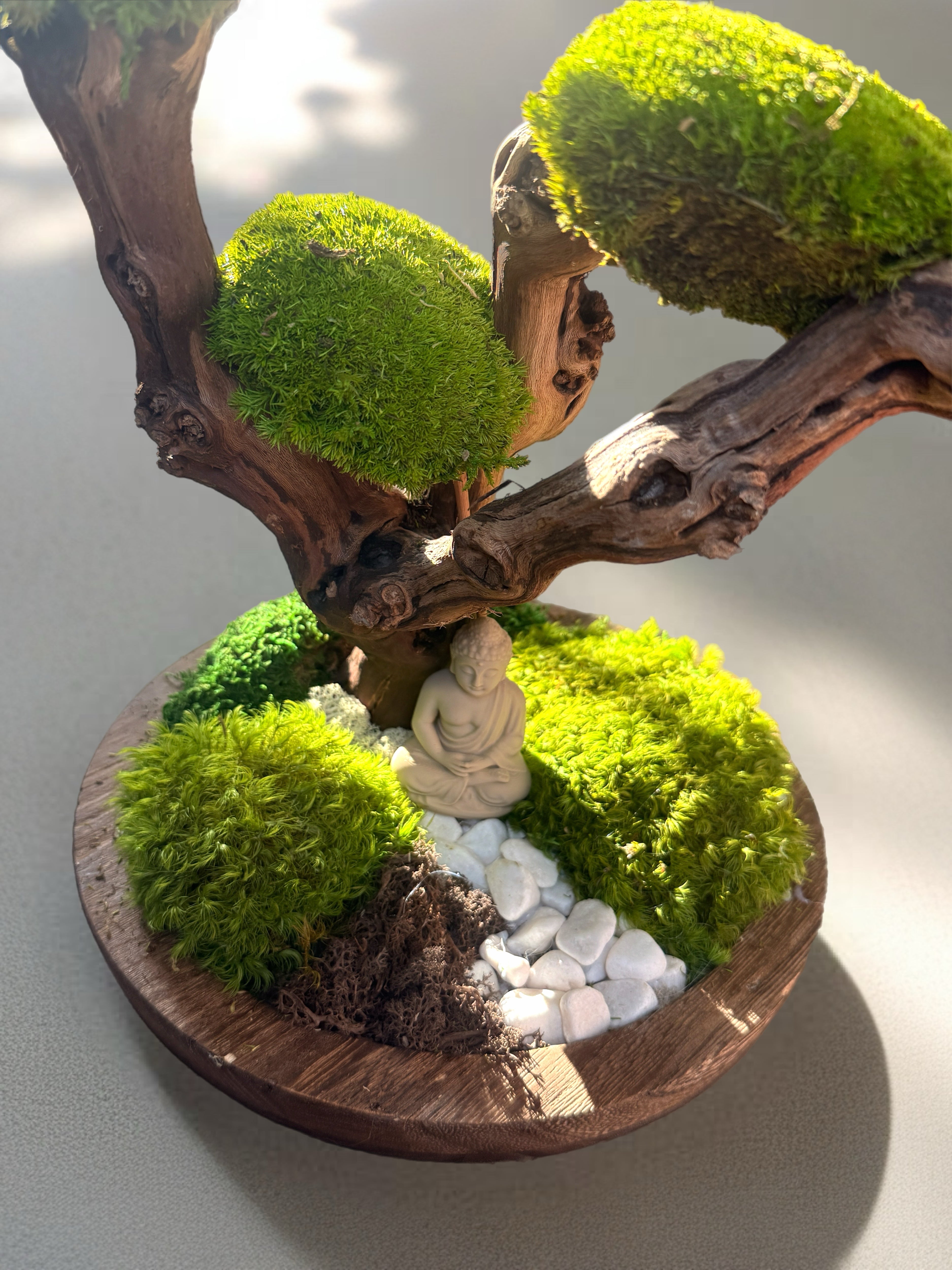Bonsaï stabilisé 50 cm – Sculpture zen en bois flotté | Naturencadre