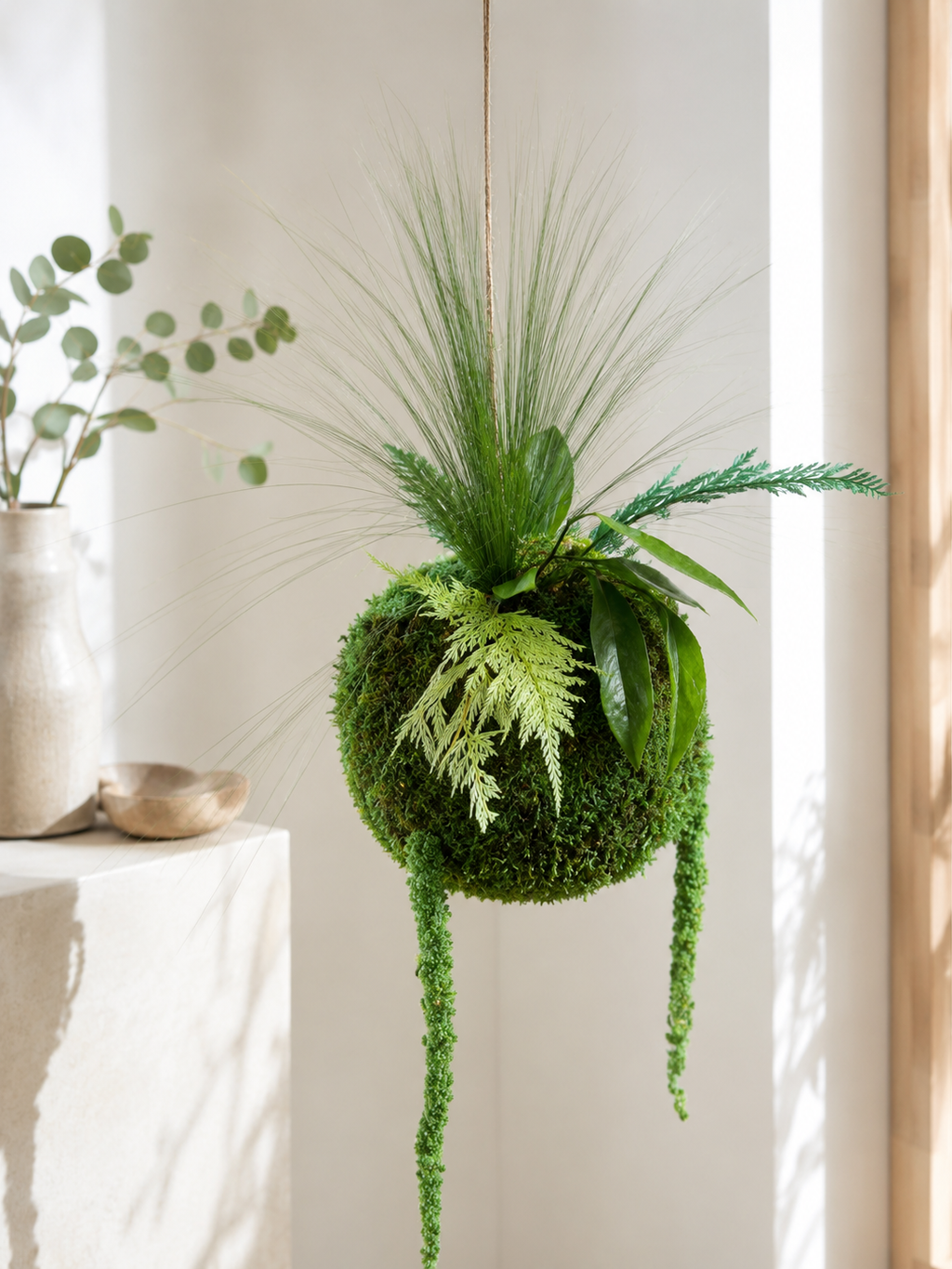 Kokedama suspendu en végétaux stabilisés – Élégance naturelle