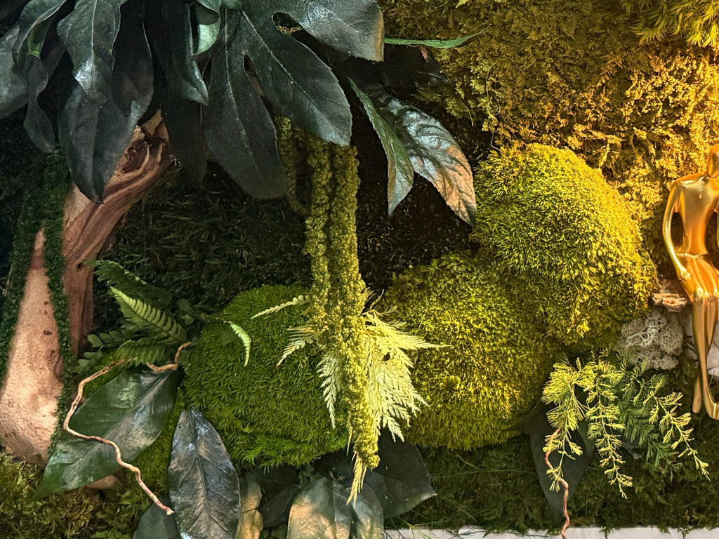 Cadre végétal stabilisé lumineux 75x55 | Pièce unique | « L'Étreinte Tropicale » – Décoration nature luxe