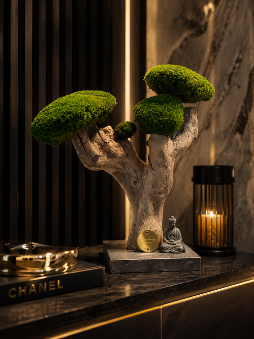 Sculptural preserved plant bonsai – High-end Zen plant art – Unique Japandi / Wabi Sabi piece – Natural wood and preserved moss