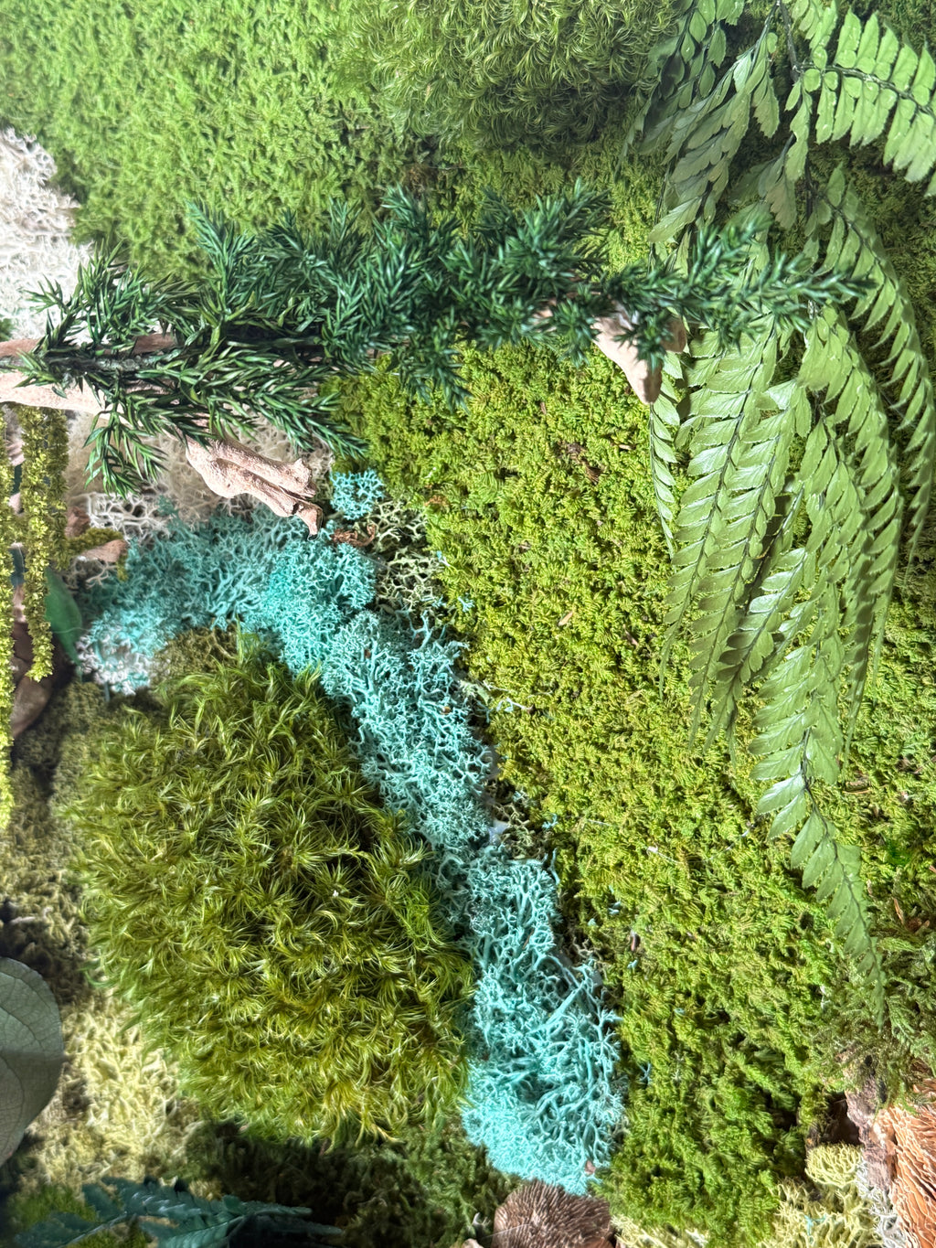 Cadre végétal stabilisé 50×50 cm – Pièce unique artisanale