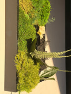 Cadre végétal stabilisé Zen 30x20 cm | Décoration murale naturelle | Sculpture méditation | Cadeau bien-être | Fait main