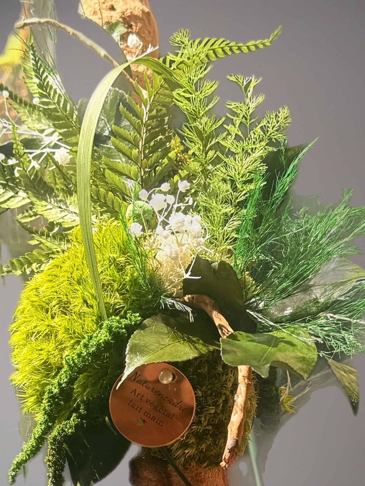 Liane Sauvage – Décoration murale végétale stabilisée sur bois naturel – 60 cm