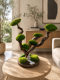 Bonsaï stabilisé 50 cm – Sculpture zen en bois flotté | Naturencadre
