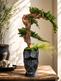 Bonsaï Stabilisé Sans Entretien – Pot Visage Abstrait Noir | Sculpture Végétale Zen