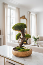 Grand bonsaï en mousse stabilisée dans un pot en manguier- deco vegetal haut de gamme- deco salon japandi