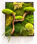 L’Esprit du Japon – Tableau végétal 3D avec bonsaï en bois de vigne