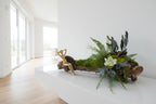Centre de table végétal stabilisé sur racine de vigne, mousse, fougères, eucalyptus et fleur blanche – création artisanale