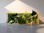 Cadre végétal porte-clés mural – Bois & mousses stabilisées – Fait main