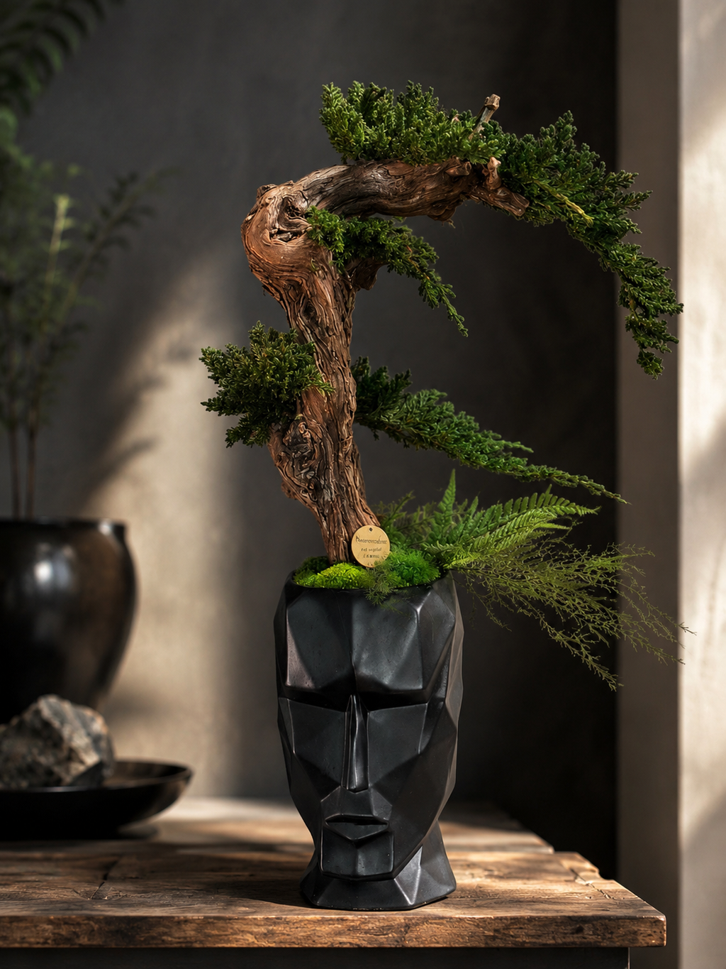 Bonsaï Stabilisé Sans Entretien – Pot Visage Abstrait Noir | Sculpture Végétale Zen