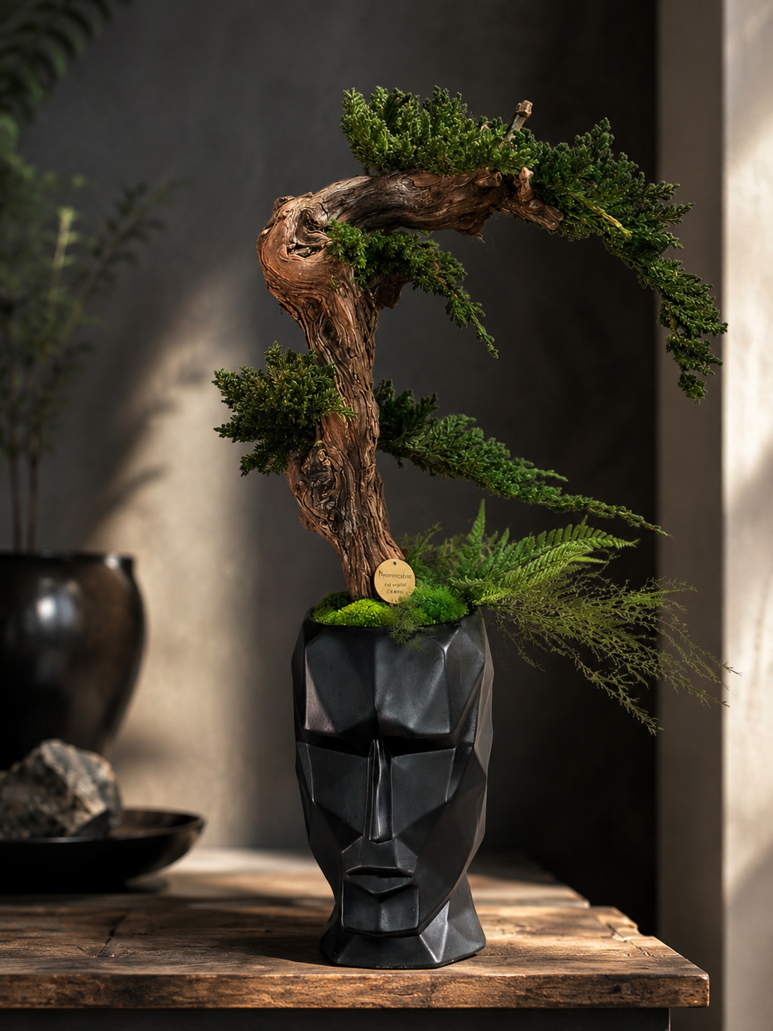 Bonsaï Stabilisé Sans Entretien – Pot Visage Abstrait Noir | Sculpture Végétale Zen