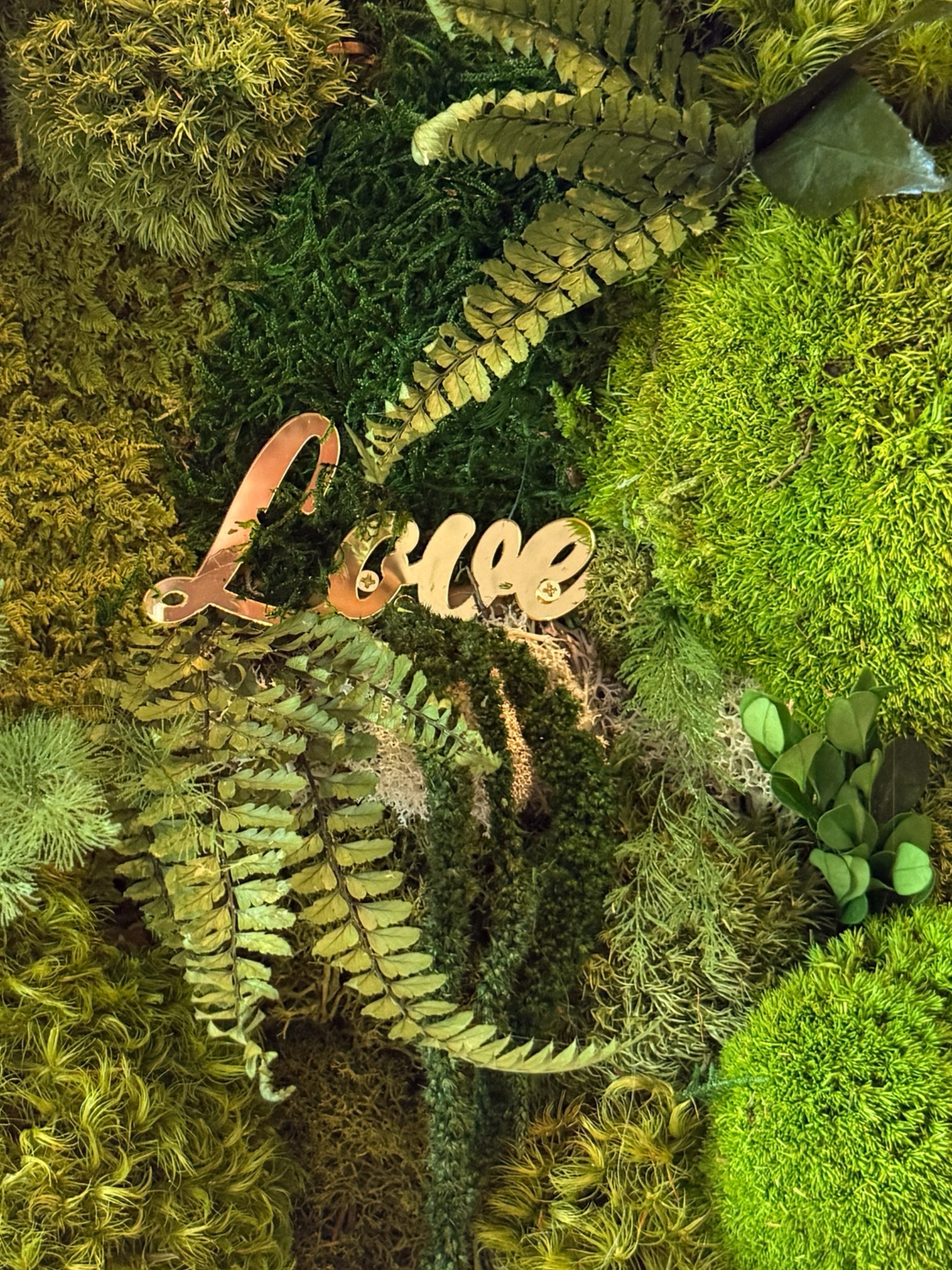 Cadre végétal stabilisé 30×30 cm – Décoration murale LOVE