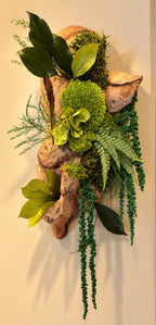 Décoration murale naturelle en Mopani, mousse boule, fougères et feuillages retombants, pièce artisanale unique