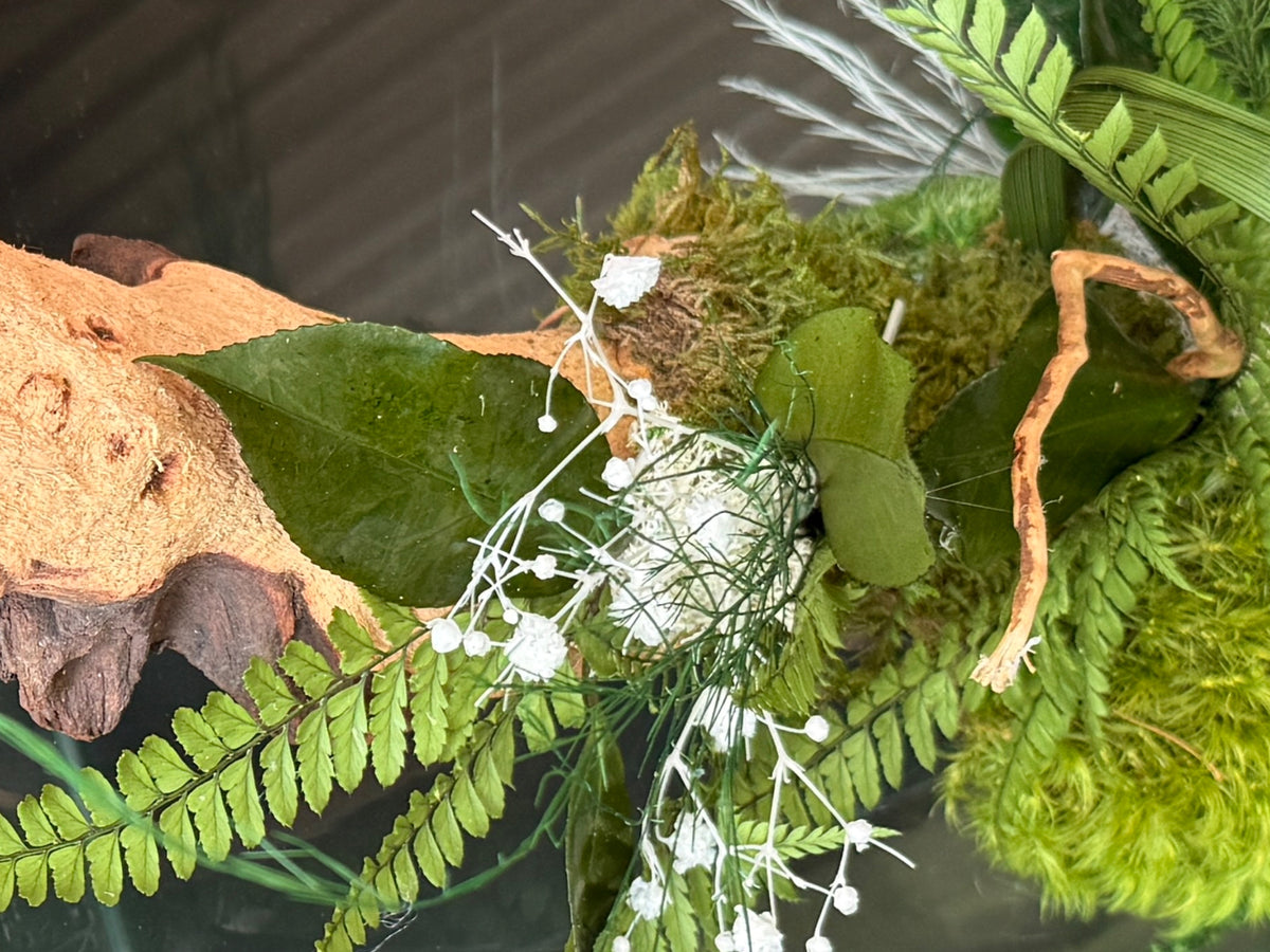 Liane Sauvage – Décoration murale végétale stabilisée sur bois naturel – 60 cm