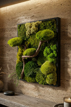 L’Esprit du Japon – Tableau végétal 3D avec bonsaï en bois de vigne