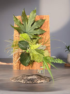 Écorce Sauvage – Tableau végétal stabilisé sur liège 30×20 cm