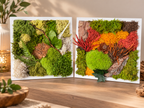 Tableau végétal stabilisé 22 × 22 cm – Évasion Nature ou Éclat d’Automne
