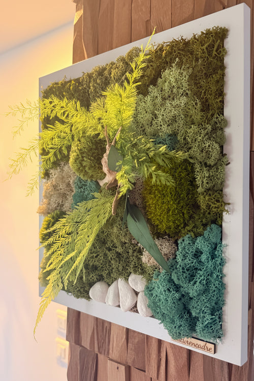 Cadre végétal carré stabilisé 30x30 cm – Art végétal naturel mural – Décoration zen et moderne