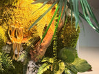 Cadre végétal stabilisé lumineux 75x55 | Pièce unique | « L'Étreinte Tropicale » – Décoration nature luxe