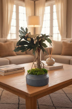 Arbre tropical stabilisé de 50 cm réalisé à la main pour décoration intérieure haut de gamme.