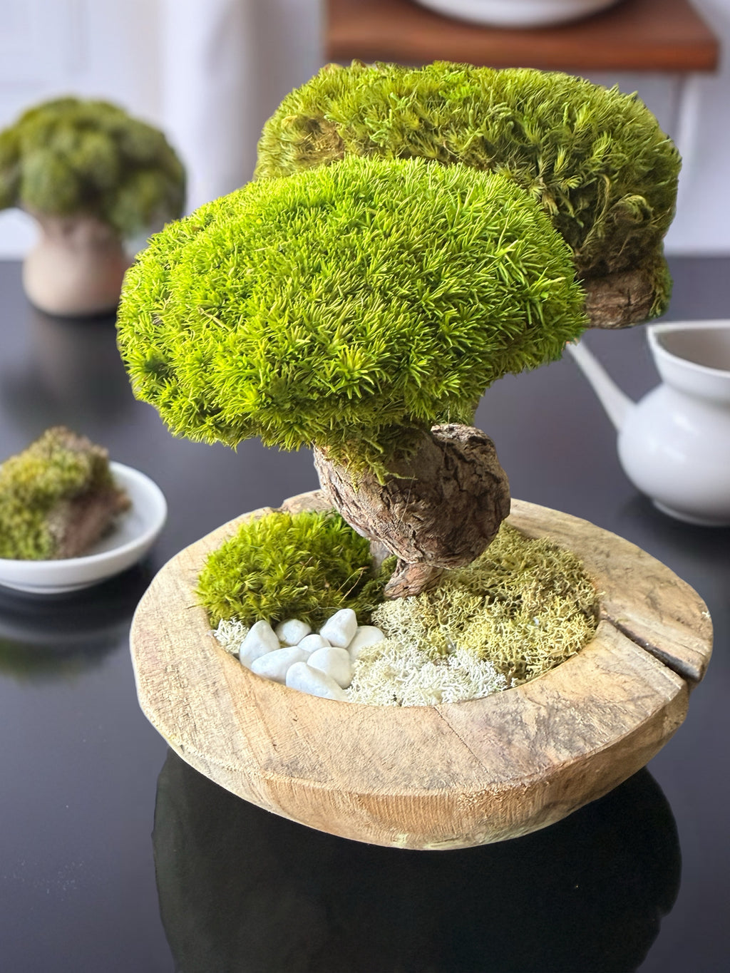 Bonsaï Stabilisé d’Exception sur Pot en Teck – Pièce Unique Artisanale