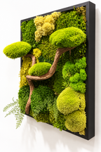 L’Esprit du Japon – Tableau végétal 3D avec bonsaï en bois de vigne