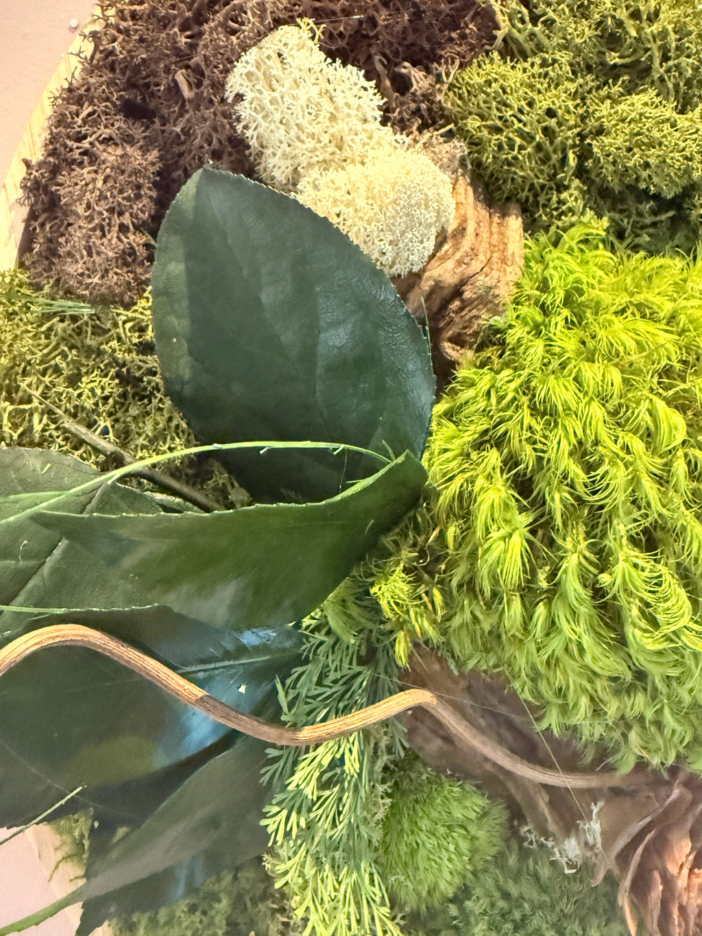 Cadre végétal stabilisé ovale – Décoration murale naturelle artisanale