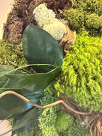 Cadre végétal stabilisé ovale – Décoration murale naturelle artisanale