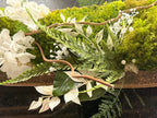 Centre de Table Végétal Stabilisé Japandi – Hortensia, Eucalyptus & Bois Naturel | 39 × 24 cm