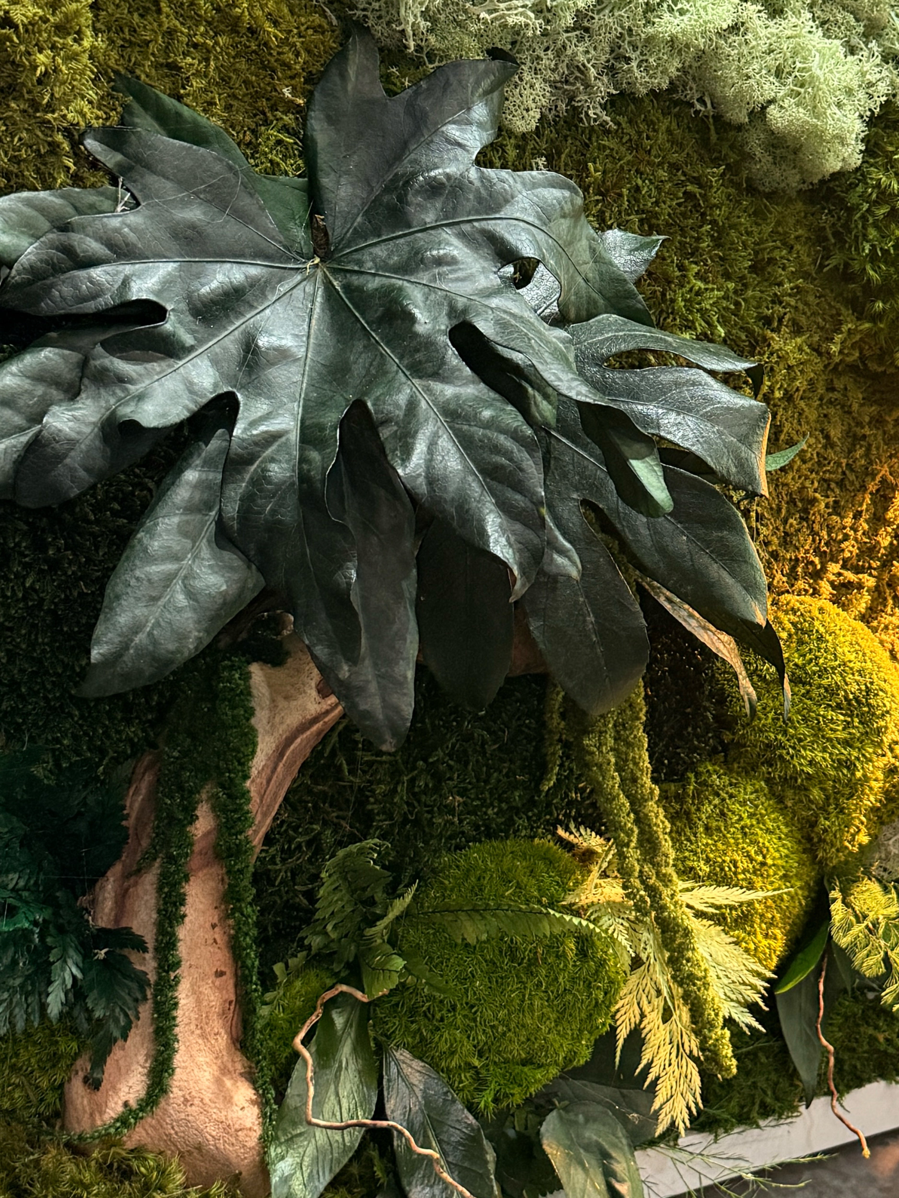 Cadre végétal stabilisé lumineux 75x55 | Pièce unique | « L'Étreinte Tropicale » – Décoration nature luxe