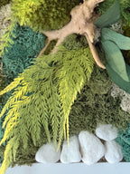 Cadre végétal stabilisé 30x30 cm – Art végétal naturel mural – Décoration zen et moderne