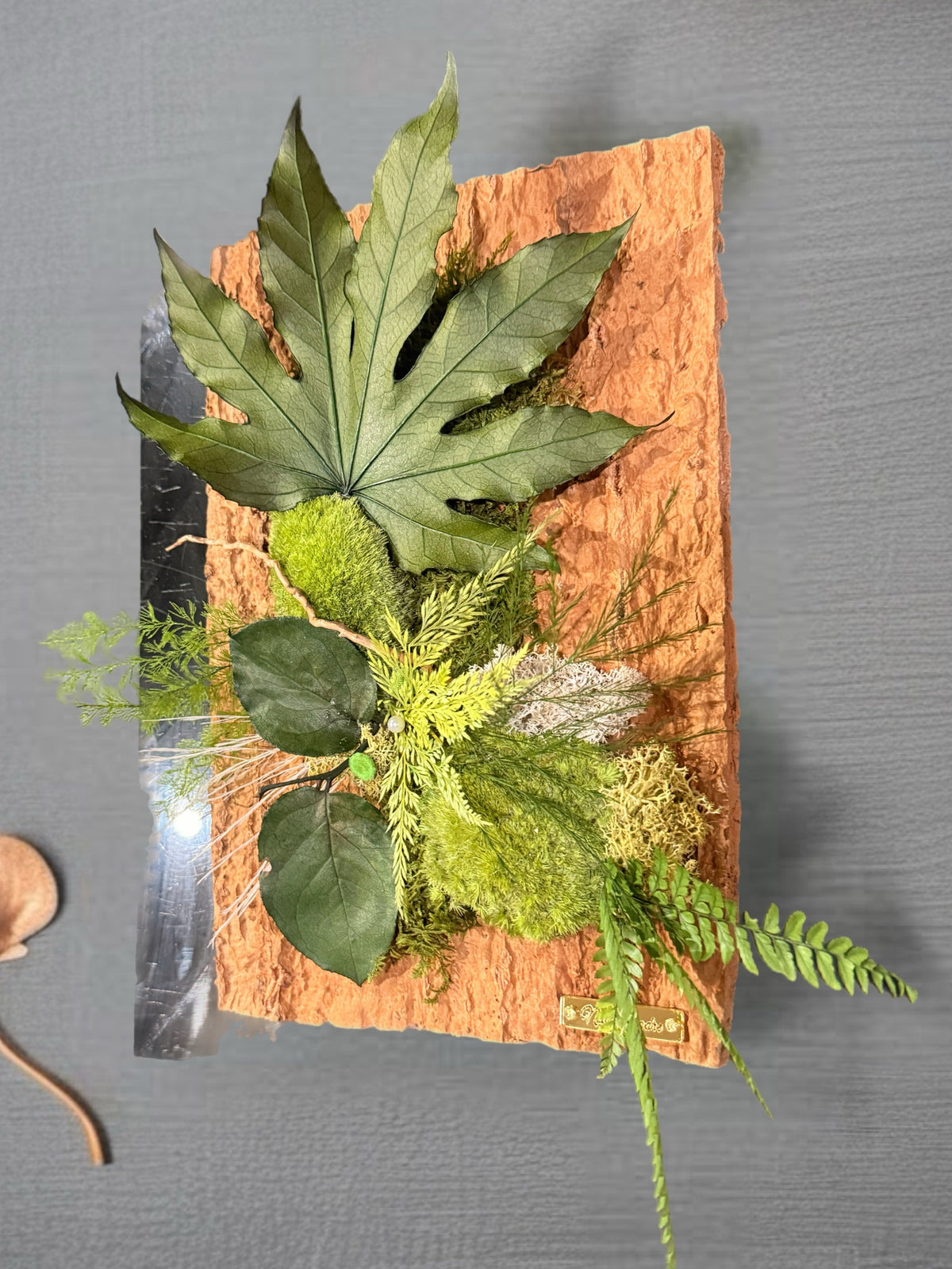 Écorce Sauvage – Tableau végétal stabilisé sur liège 30×20 cm
