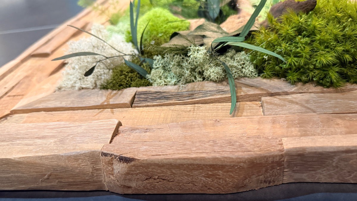 Échappée Sylvestre — Tableau végétal stabilisé, cadre en bois fait main