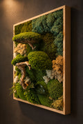 Tableau végétal stabilisé bonsaï, œuvre unique-Naturencadre 