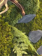 Cadre végétal mural stabilisé – Bonsaï mural japonais – Sculpture végétale Japandi – Bois flotté et pierres naturelles- Pièce unique
