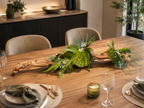 Centre de Table en Bois de Mopani – Végétaux Stabilisés- luxe et élégance