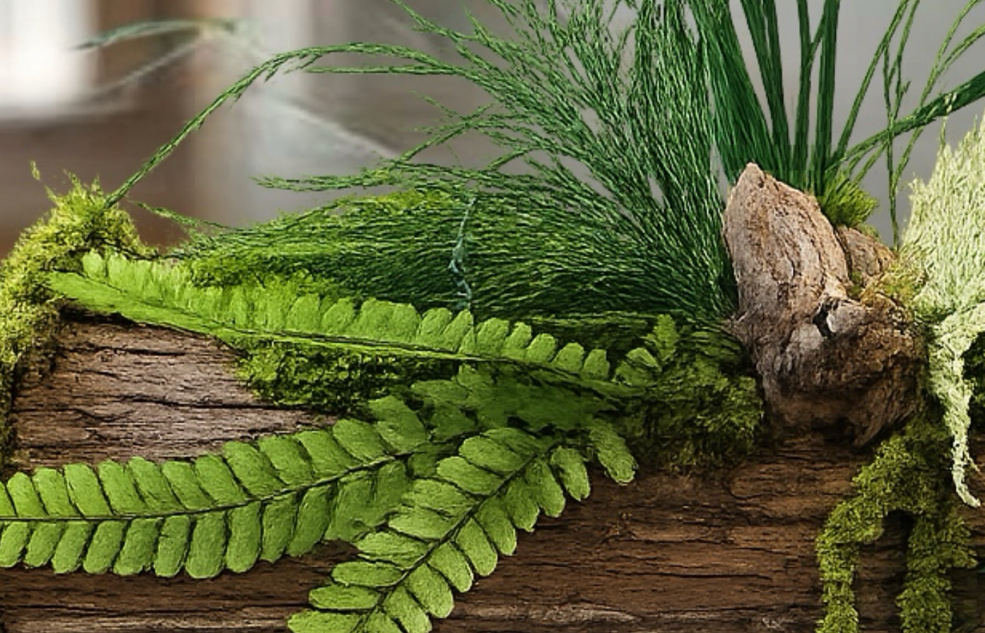 Jardinière stabilisée artisanale – Centre de table végétal en écorce et mousses | Naturencadre