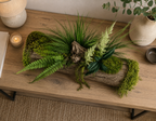 Jardinière stabilisée artisanale – Centre de table végétal en écorce et mousses | Naturencadre