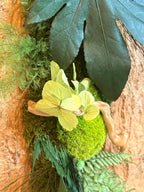 Cadre végétal stabilisé en écorce naturelle – 60x30 cm | Pièce unique artisanale