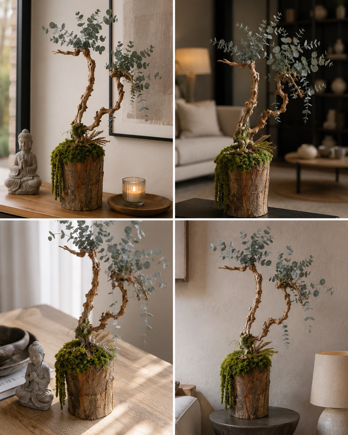 Sculpture végétale stabilisée – Bonsaï Zen sur tronc naturel avec eucalyptus