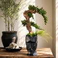 Bonsaï stabilisé sans entretien avec tronc en bois flotté tordu et feuillage préservé vert, planté dans un pot visage abstrait géométrique noir, décoration zen haut de gamme