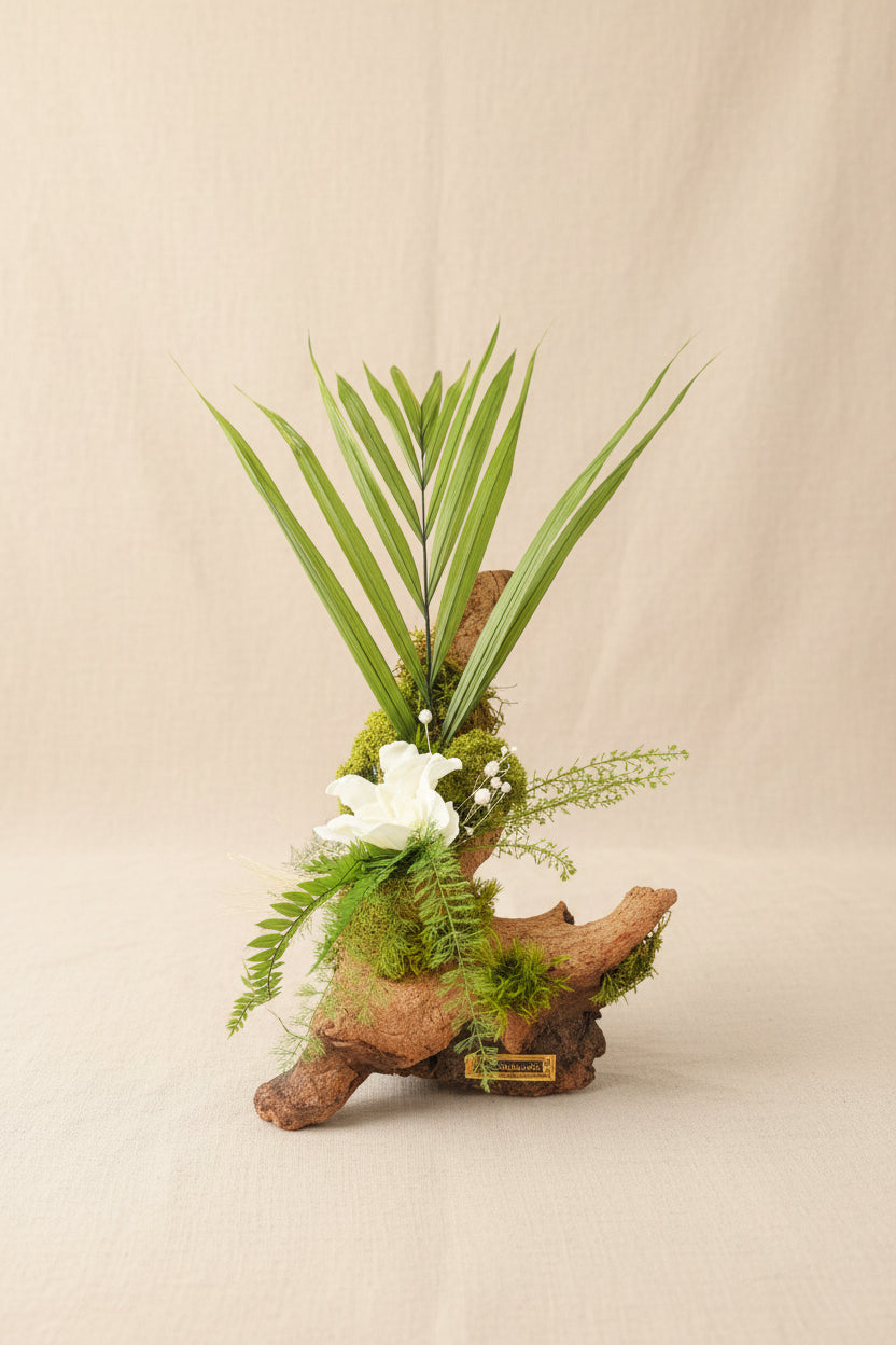 Centrepiece végétal bois de Mopani & gardénia blanc stabilisé | Naturencadre
