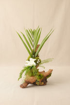Centrepiece végétal bois de Mopani & gardénia blanc stabilisé | Naturencadre