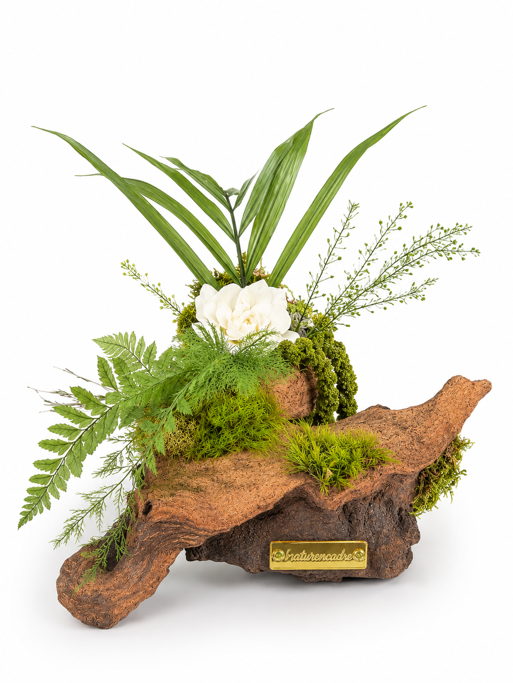 Centrepiece végétal bois de Mopani & gardénia blanc stabilisé | Naturencadre