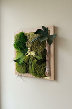 Cadre Végétal Stabilisé Personnalisé 30×30 cm – Tableau Zen en Bois | Naturencadre